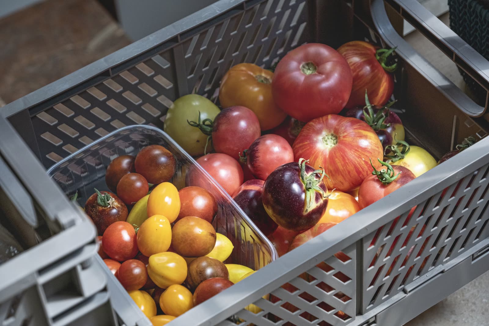 Vegetables