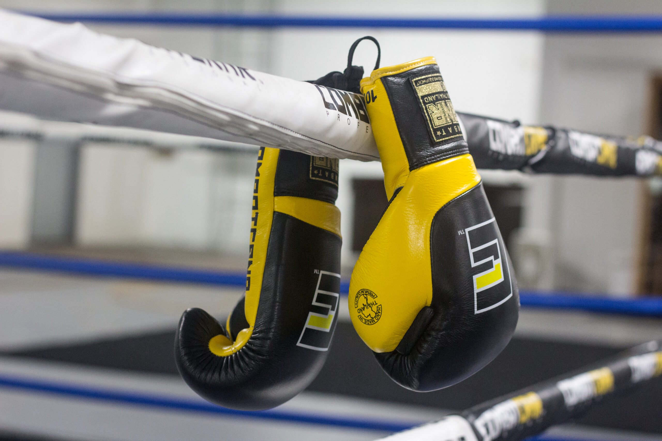 Professional Boxing Gloves